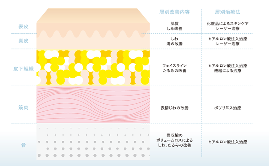 顔の層に応じた治療の組み合わせ